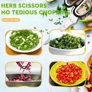 ✂️Ciseaux de Cuisine 5 Lames 🥗
