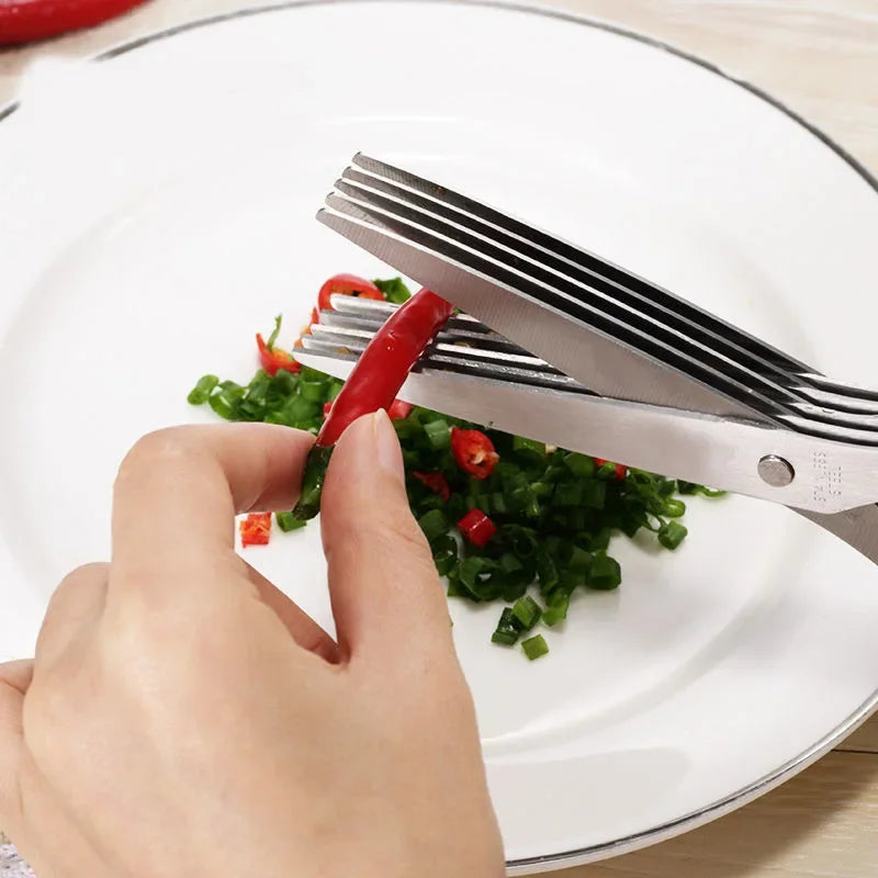 ✂️Ciseaux de Cuisine 5 Lames 🥗