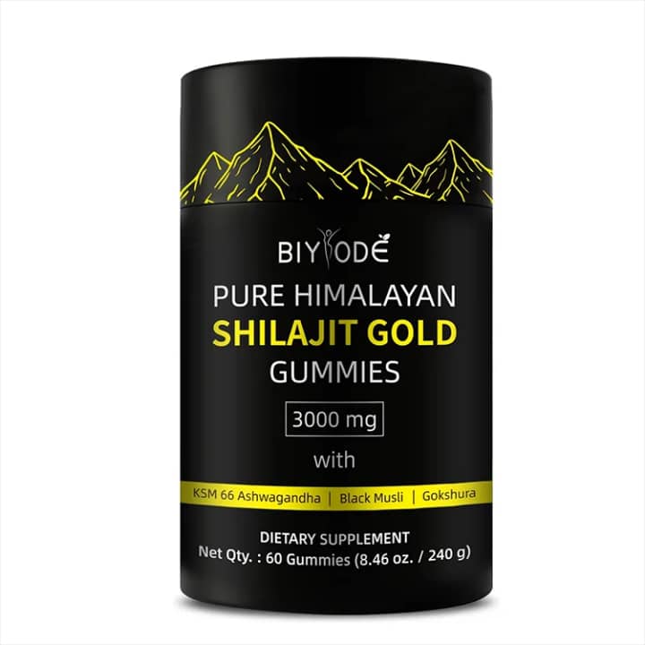 SHILAJIT GUMMIES : 60 unités