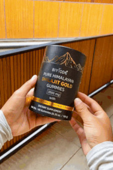 SHILAJIT GUMMIES : 60 unités